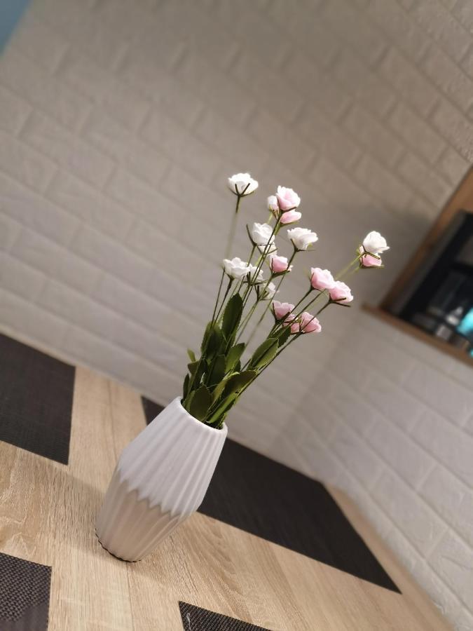 Ferienwohnung Jasmin Rust Zewnętrze zdjęcie